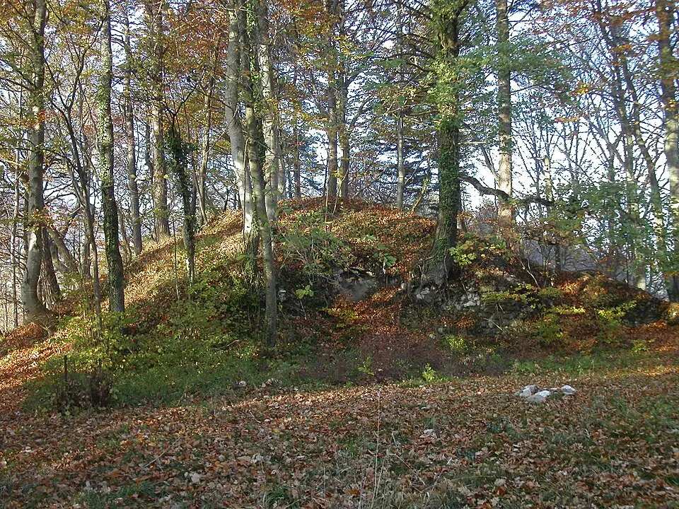 Ruins of the medieval castle of Mont-le-Vieux
