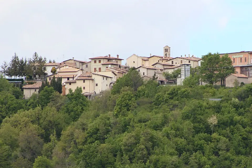 Montaglioni