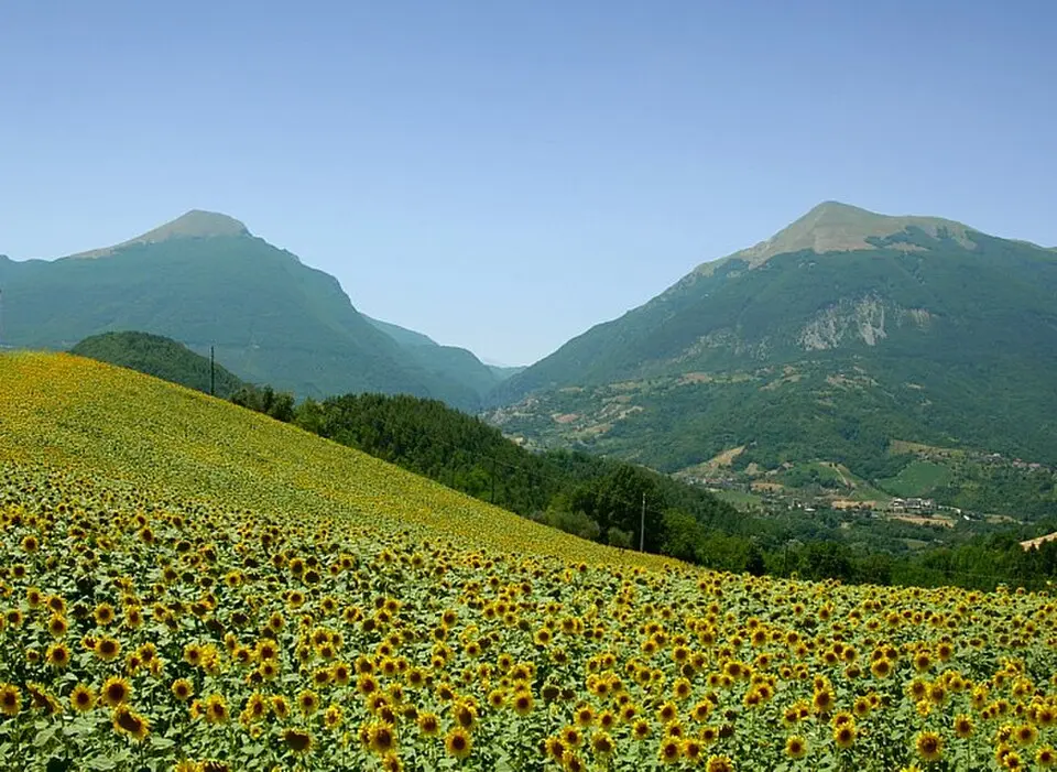 Montagna dei Fiori