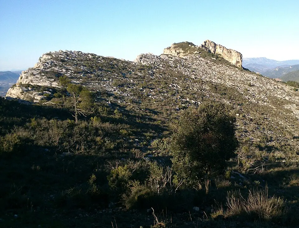 Montalt