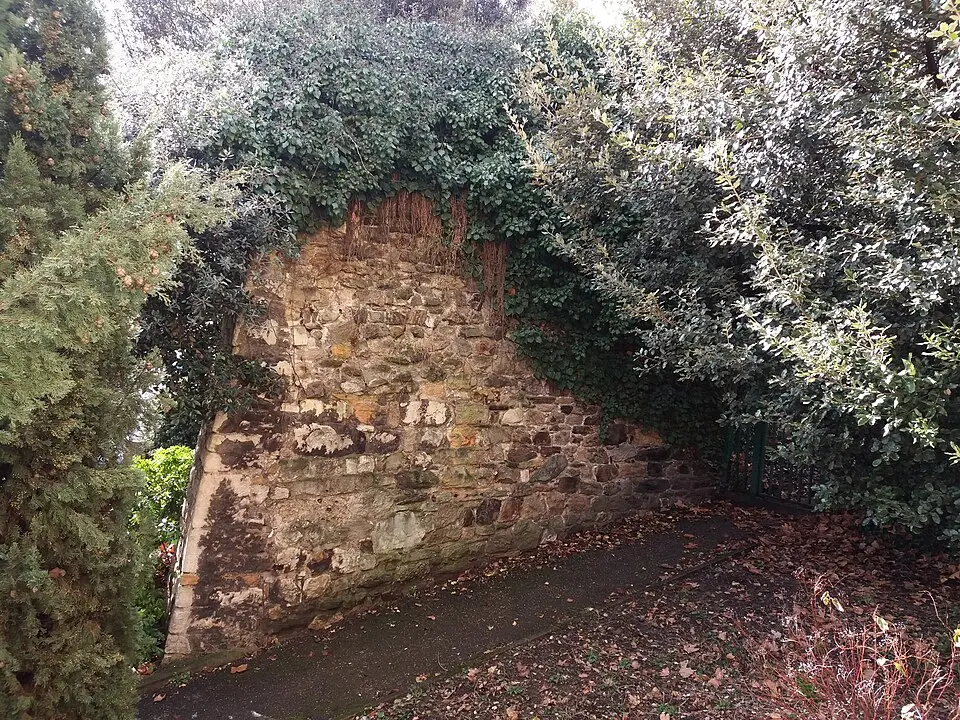 Murus gallicus de Lyon