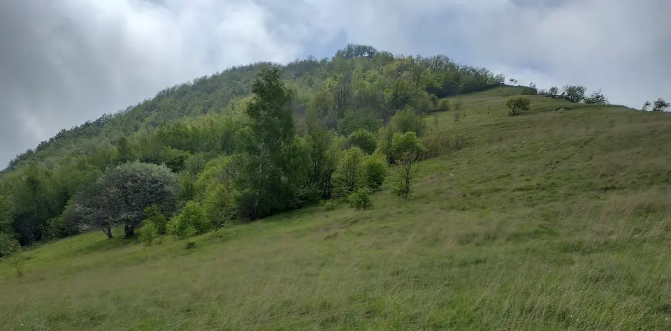Monte Alpe