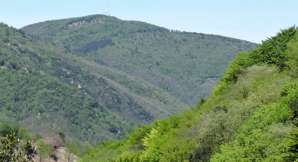 Monte Baraccone