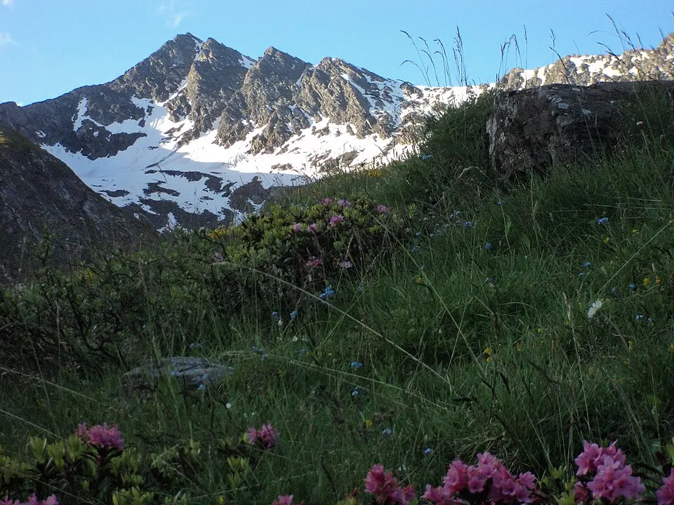 Monte Barifreddo