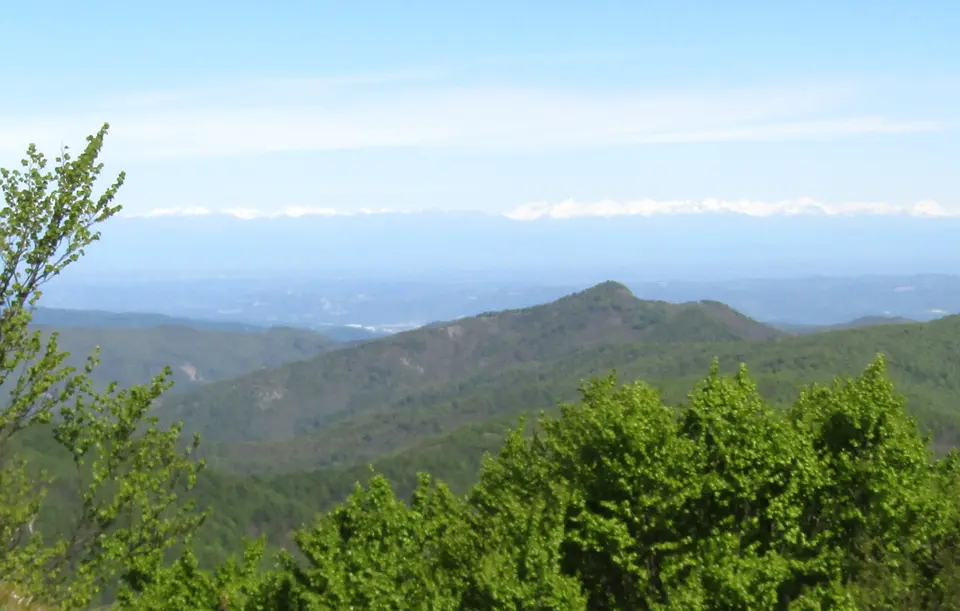 Monte Camulera