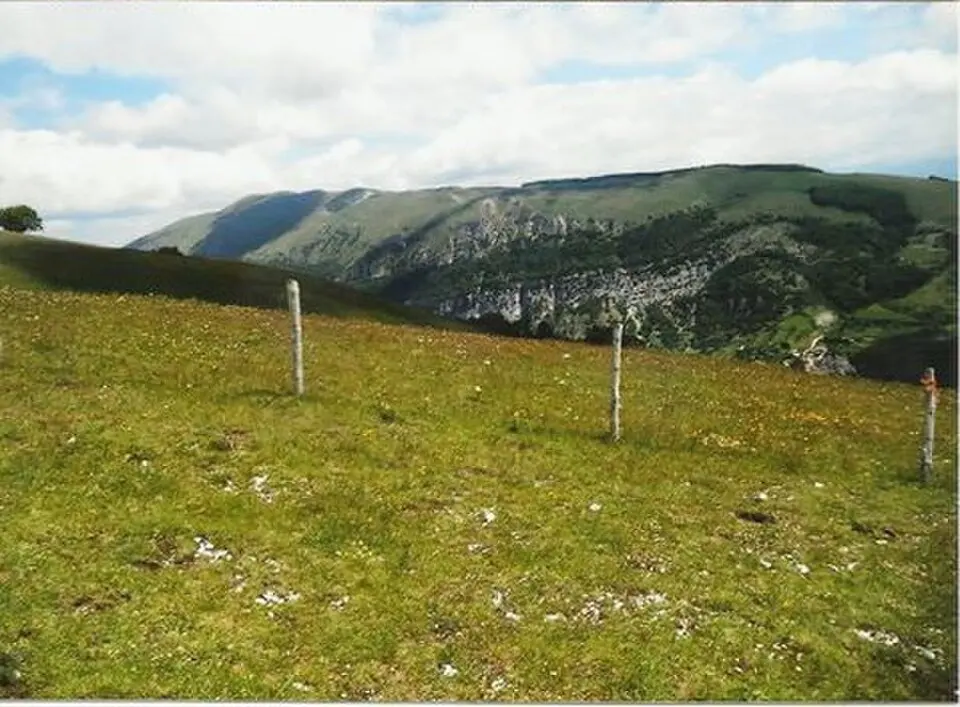Monte Coscerno