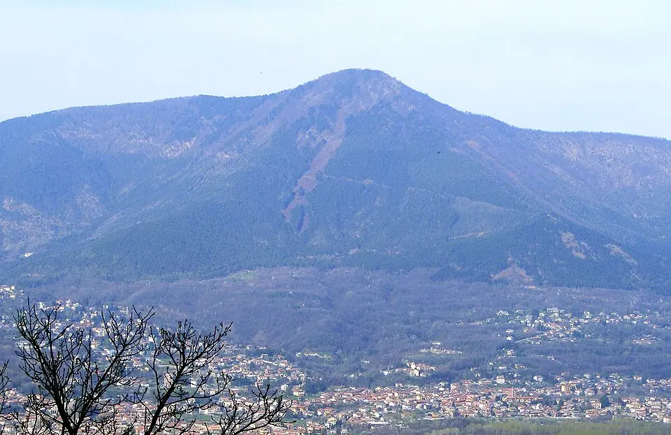 Monte Curt