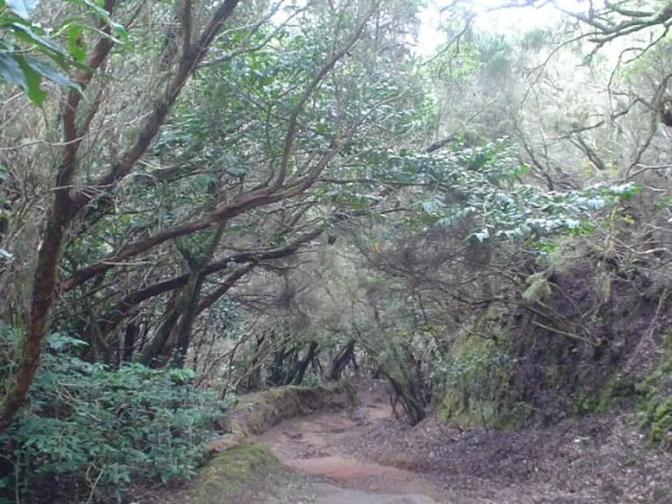 Parque rural de Anaga