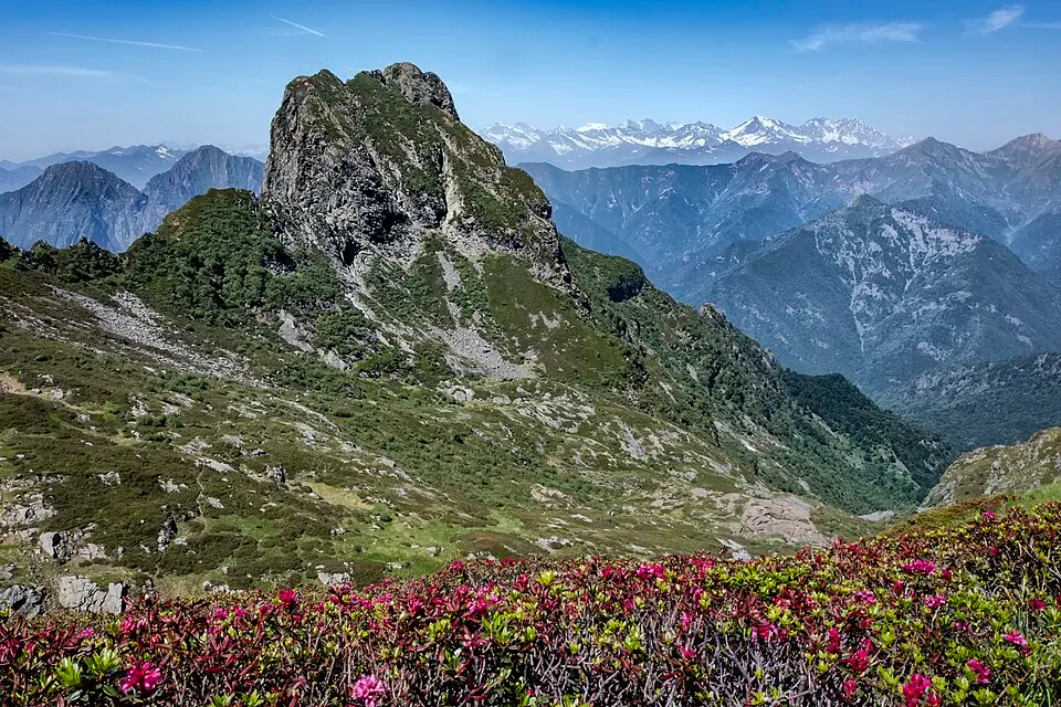 Cima Pedum