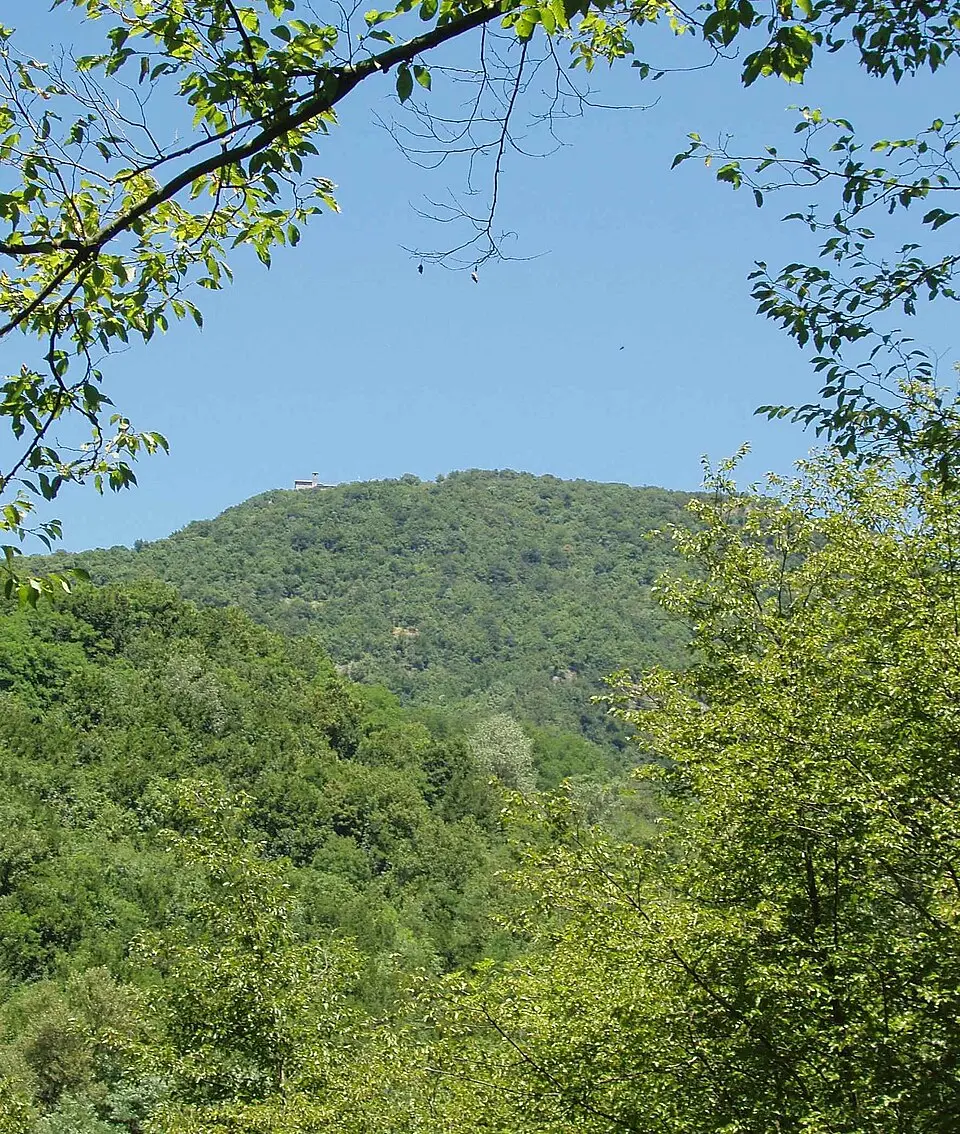 Immagine: F Ceragioli · CC BY-SA 3.0 Monte Reale