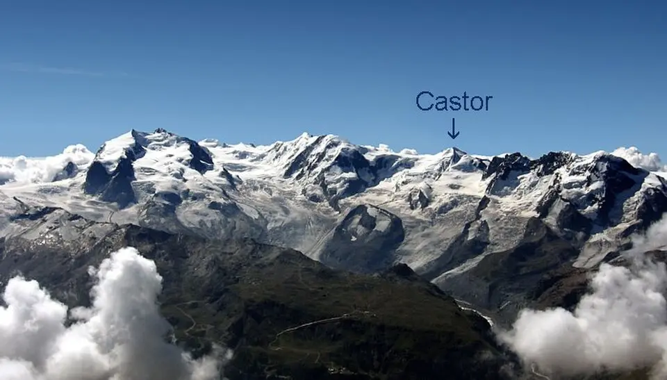 Castor