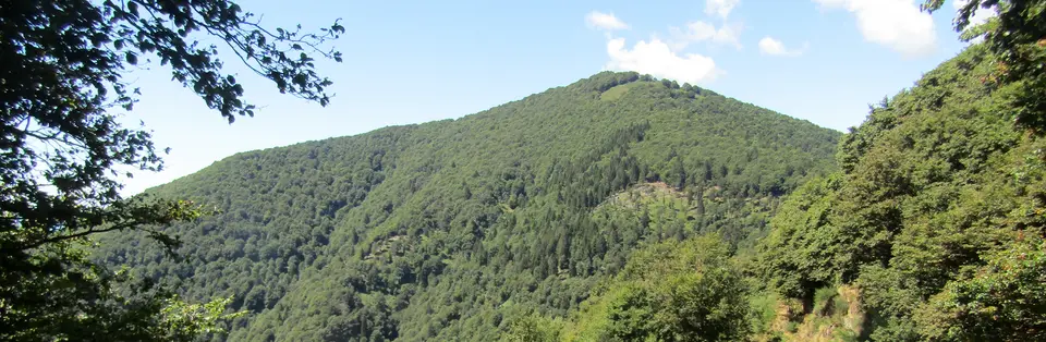 Monte Spalavera
