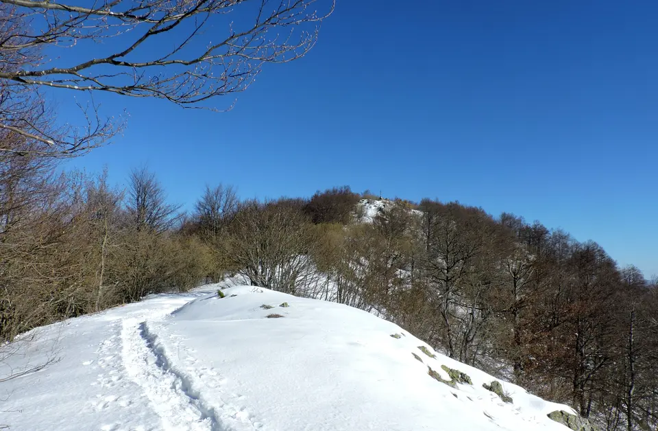 Monte Spinarda