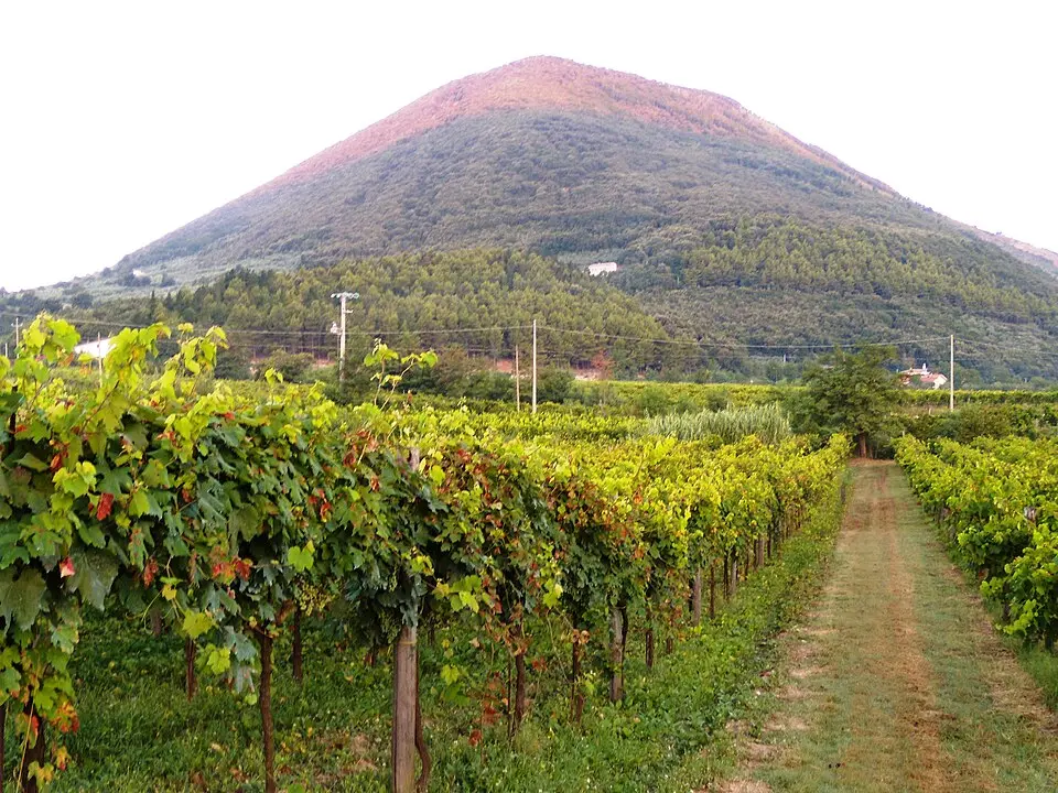 Monte Acero