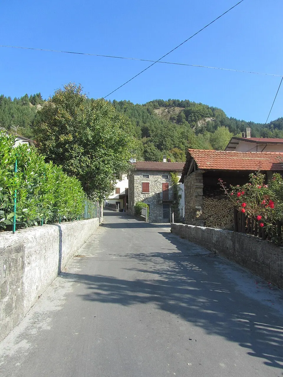 Immagine: Bucaramango · CC BY-SA 3.0 Montecagno