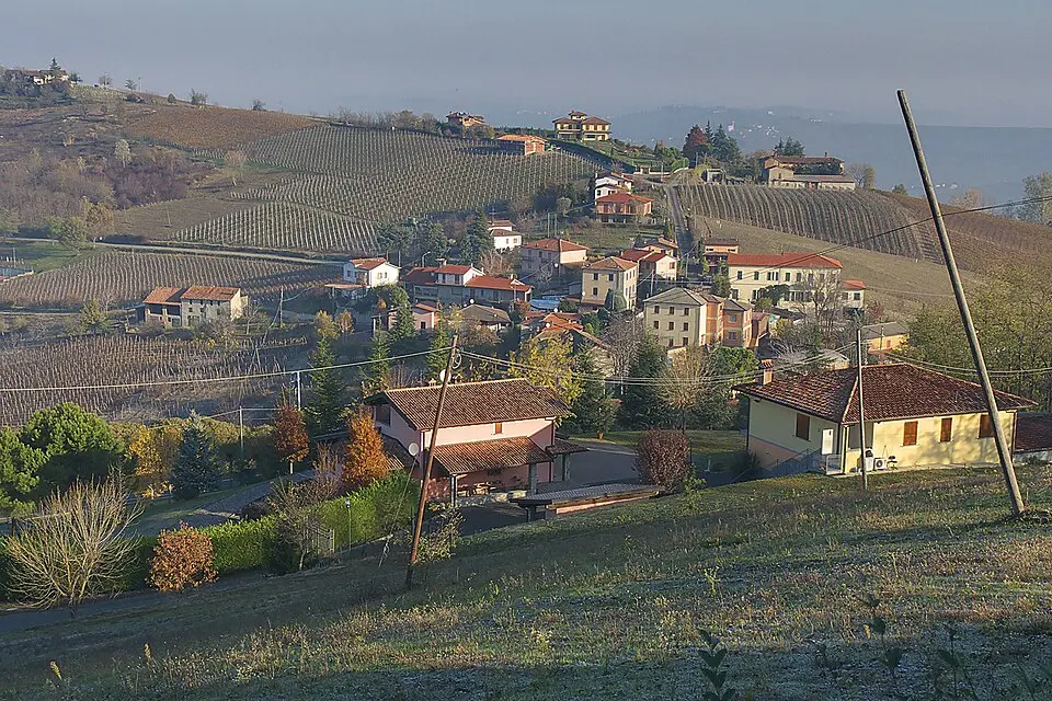 Crocetta
