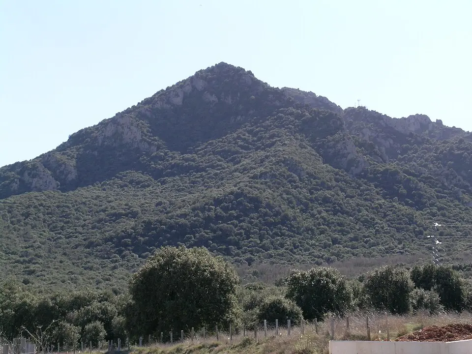 Montejurra