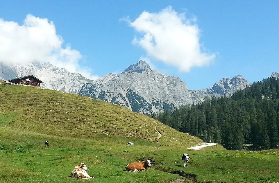 Slika: KassiusTitus · CC BY 3.0 Alpelhorn