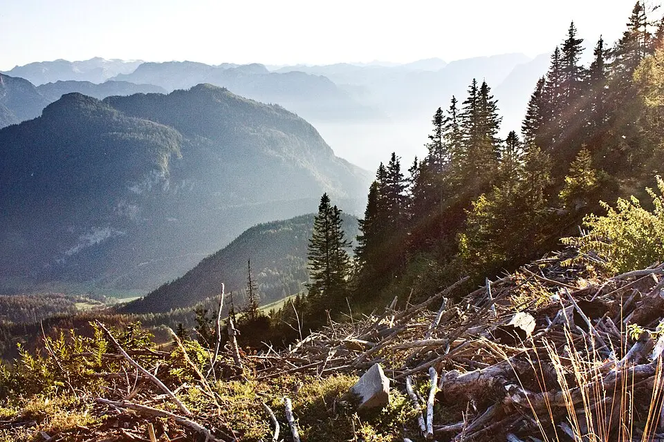 Bild: Horst Michael Lechner · CC BY-SA 3.0 Schwarzer Berg