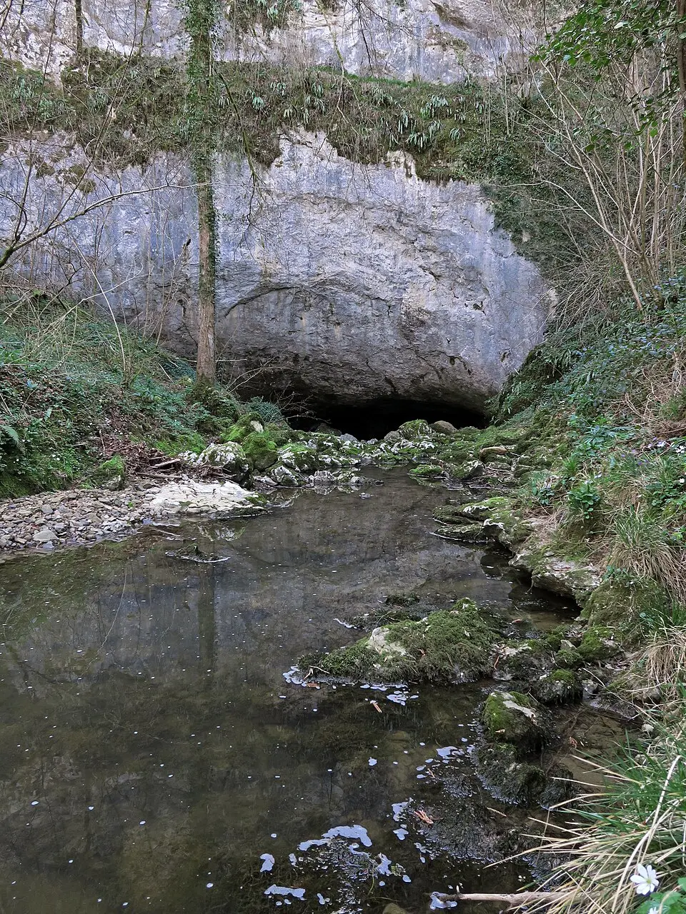 Image: Olybrius · CC BY-SA 4.0 grottes du Volp