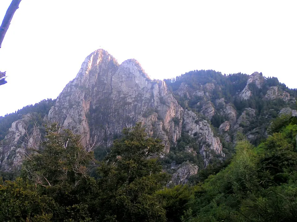 Sassariente