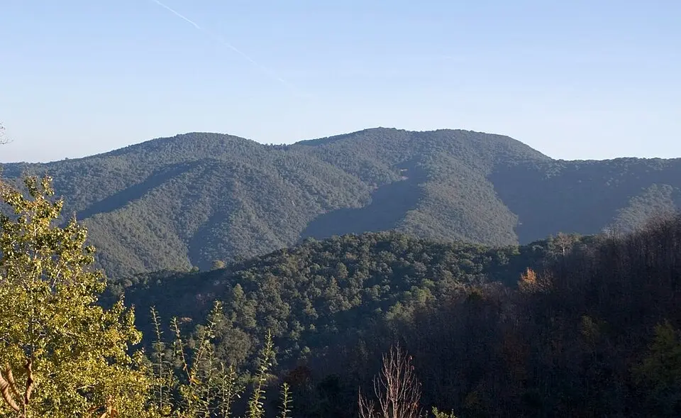 Parque del Montnegre i el Corredor