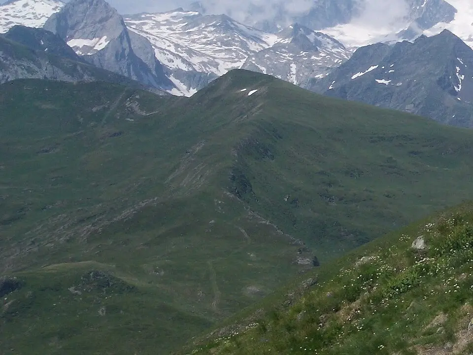 Montpius