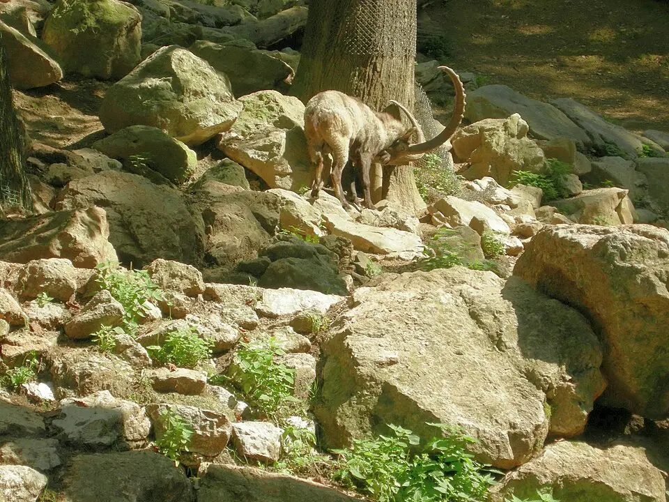 Zoo Ljubljana