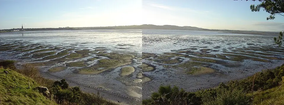 Montrose Basin