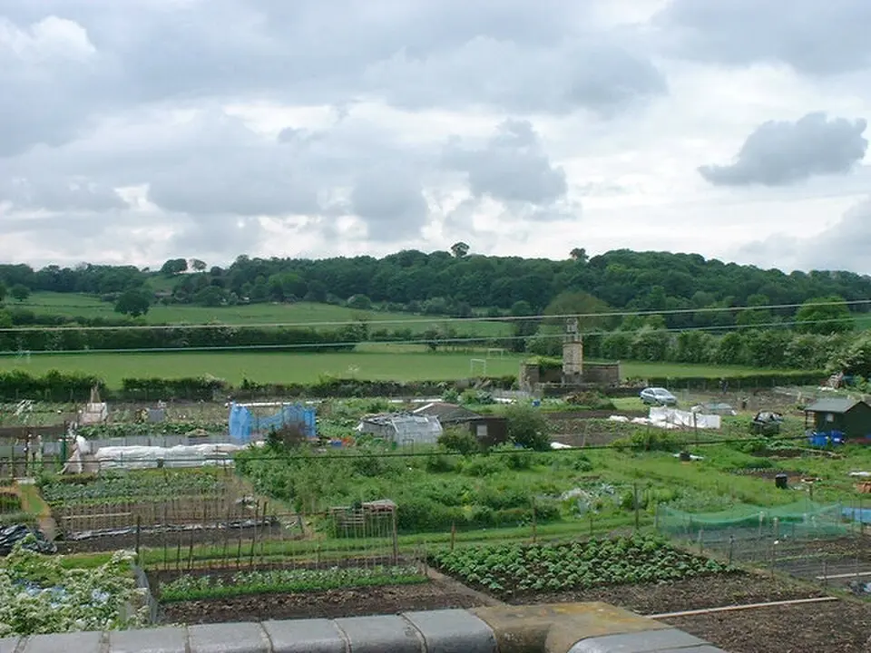 Newcastle-under-Lyme