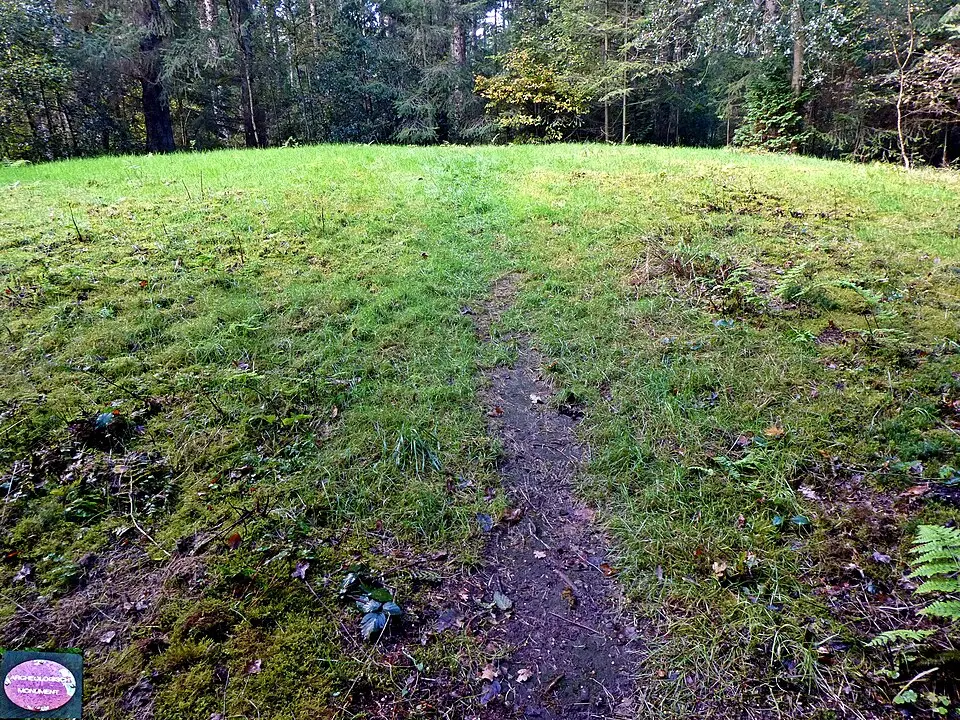 Terrein met een grafheuvel