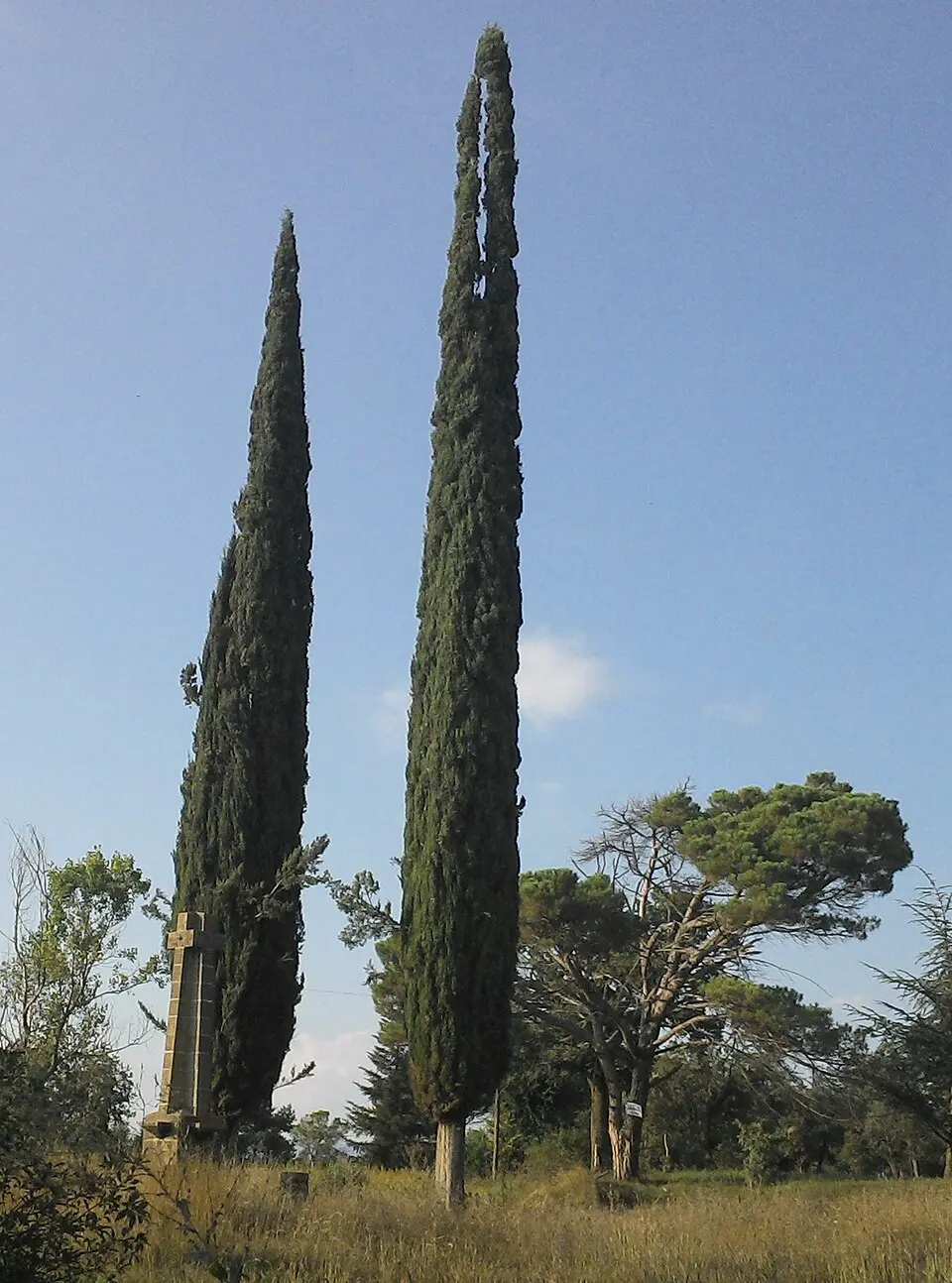 Monument als Caiguts