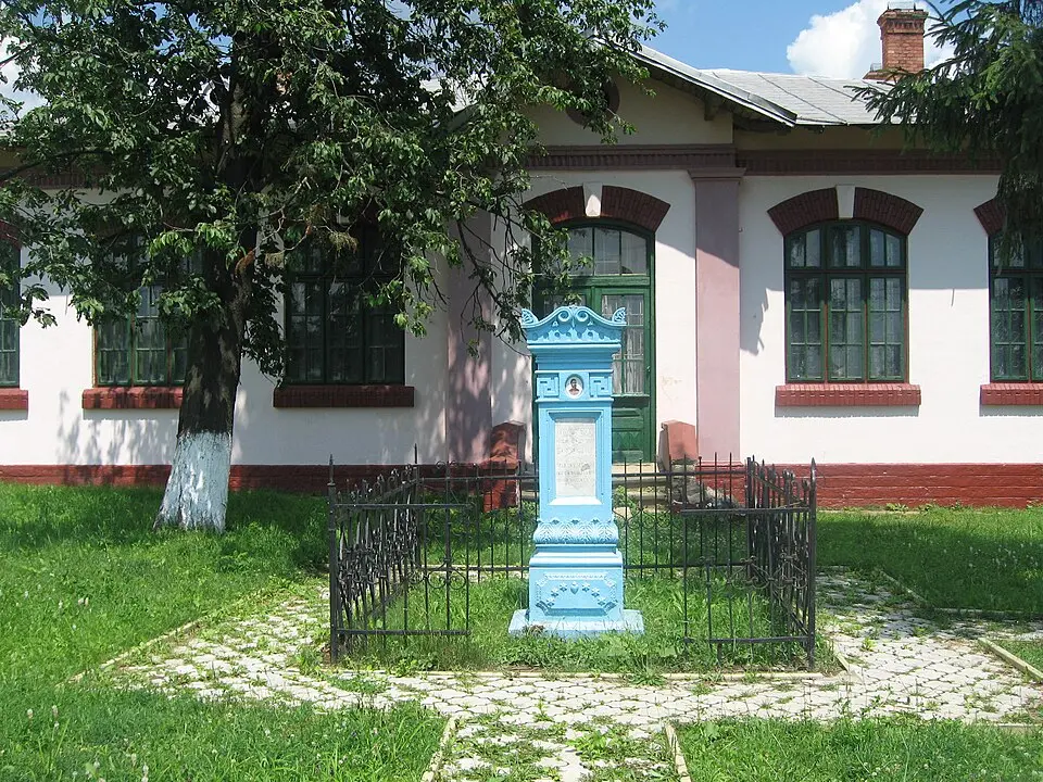 Salcea