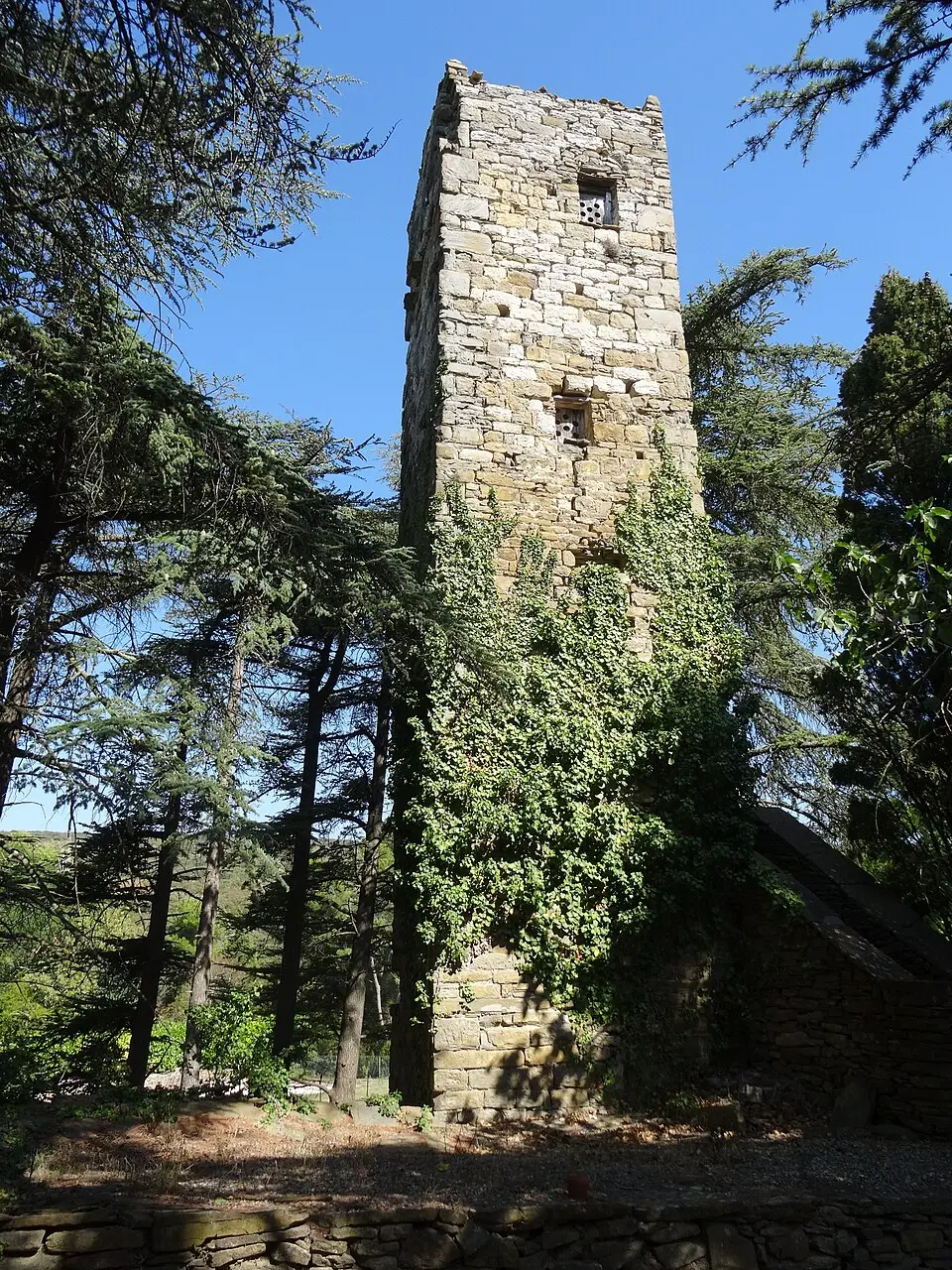 tour Carbonac