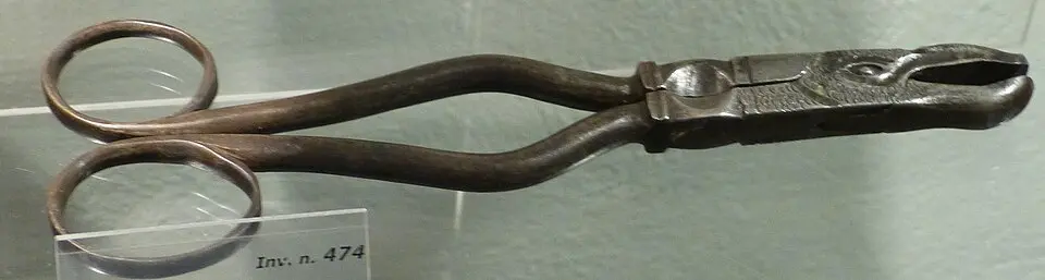 Museo dell'olivo e dell'olio
