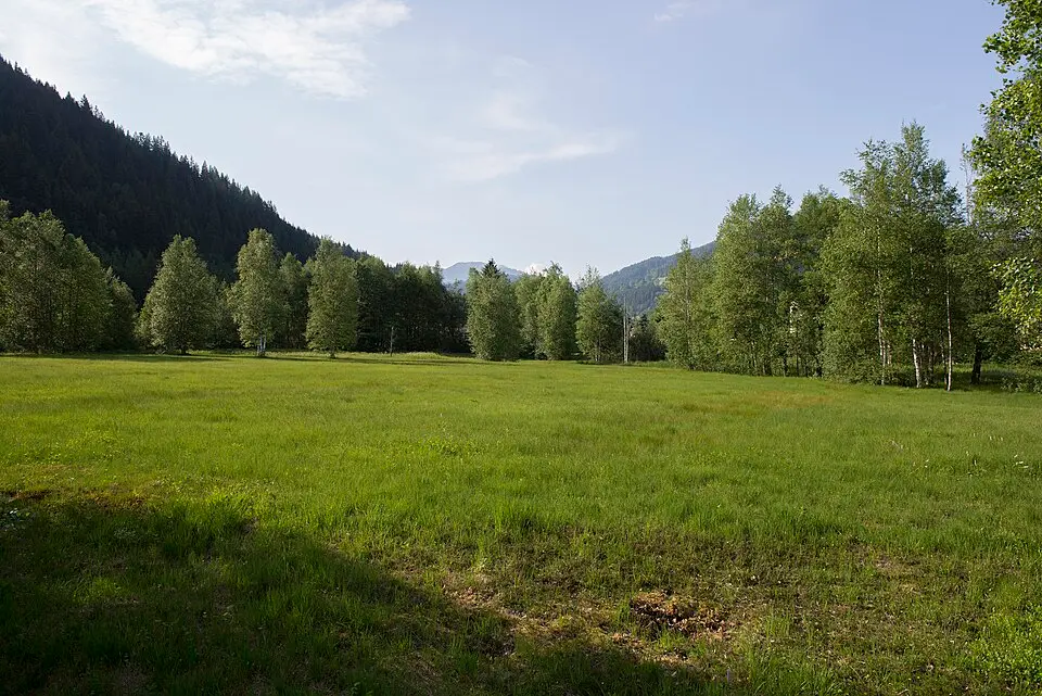 Moor in Eben