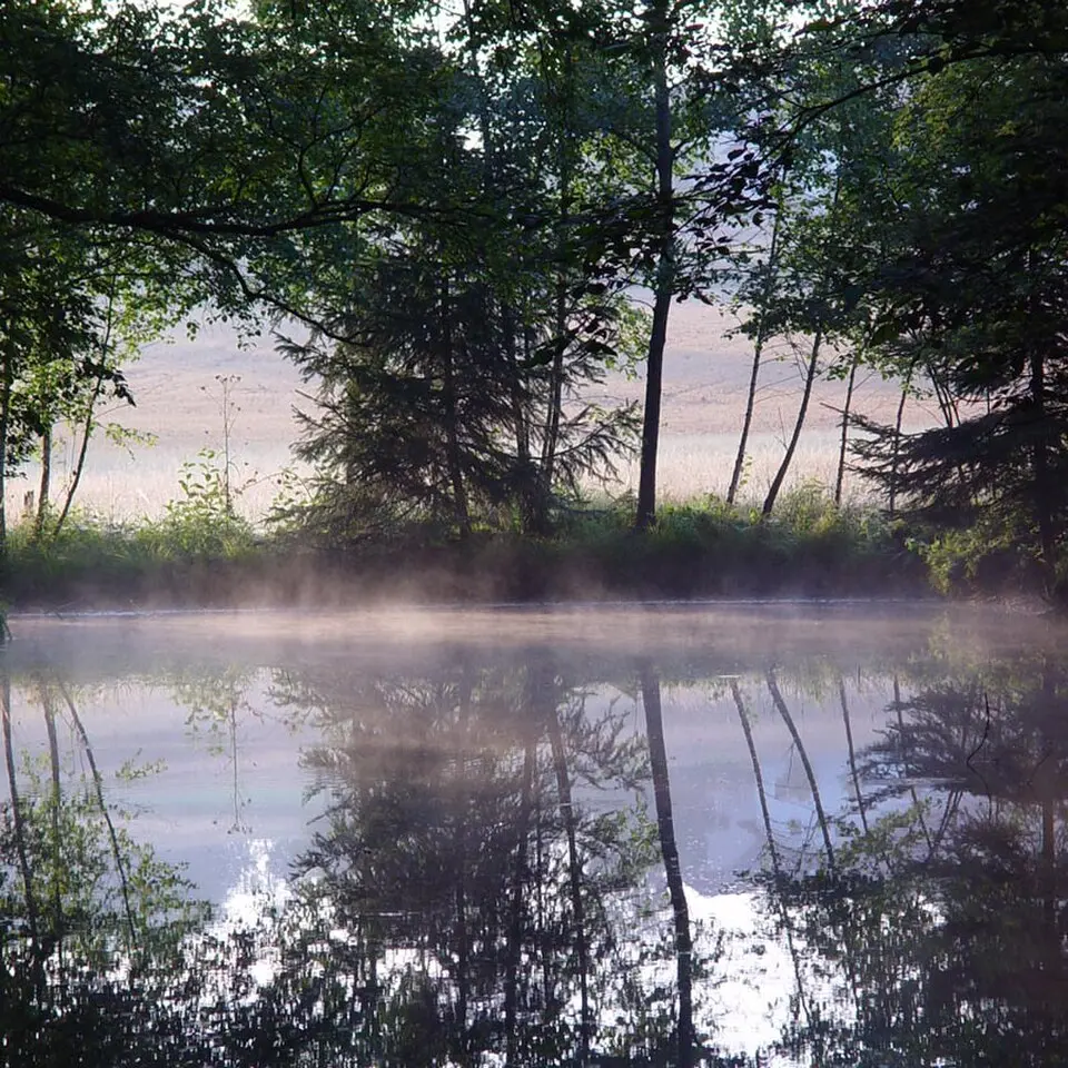 Image: Emanuel Goldgruber · CC BY-SA 2.5 Gmöser Moor