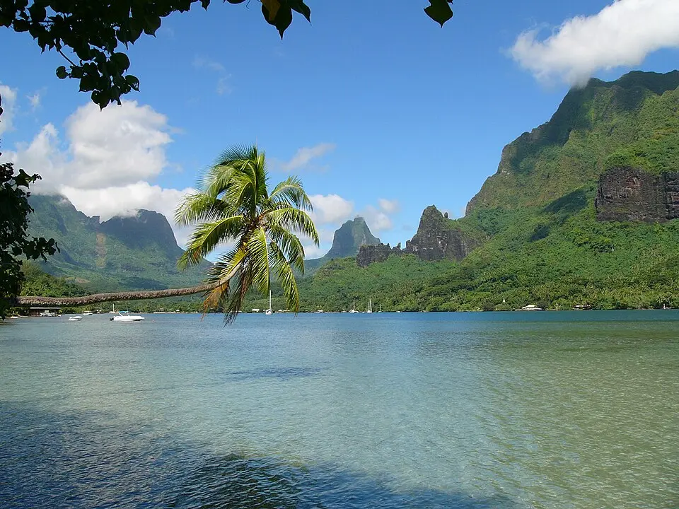 baie de Cook