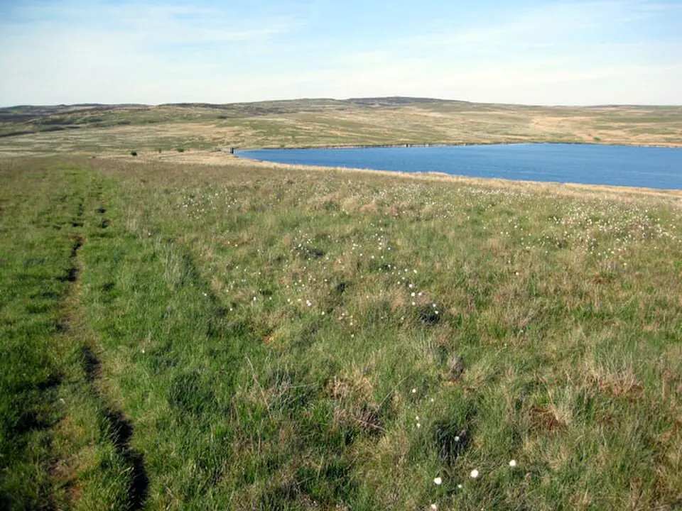 Llyn Aled