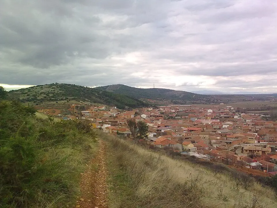 Morales de Rey