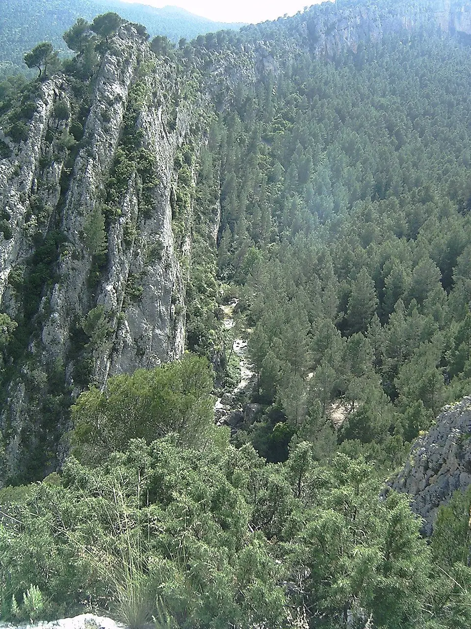 Alhárabe