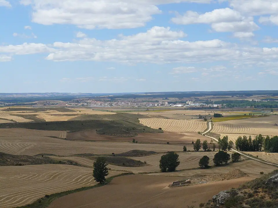 Comarca de Almazán