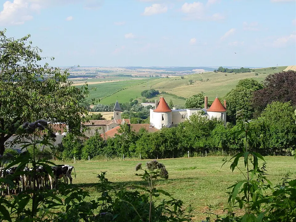 Belleau