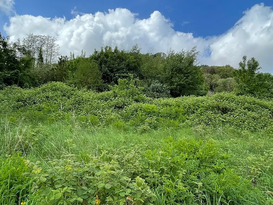 Morganstown Castle Mound