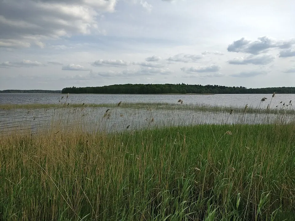 Moricsalas rezervāts