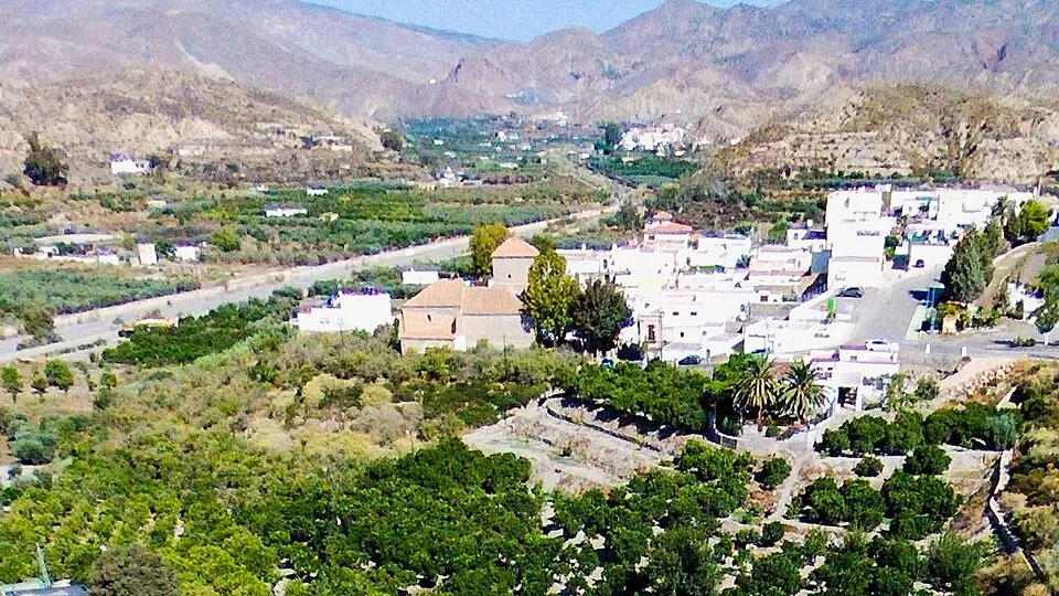 Alsodux