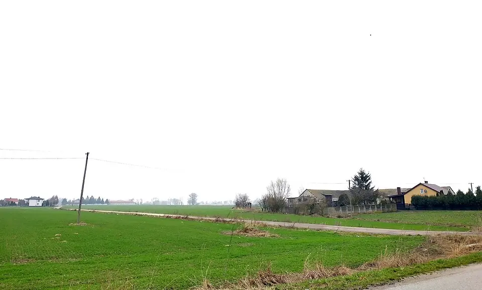 Kłaki