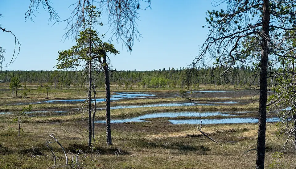 Mossaträsk-Stormyran
