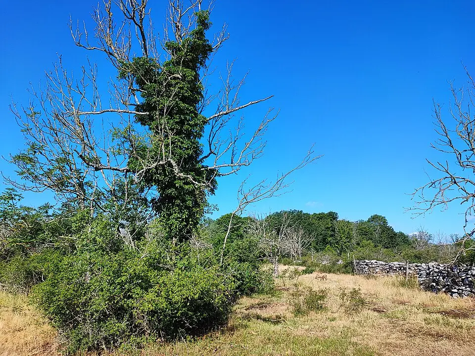 Mossberga-Vipetorp