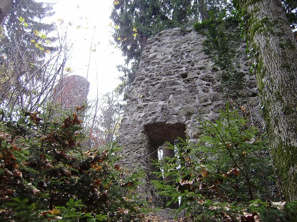 Burgruine Alt-Hofen